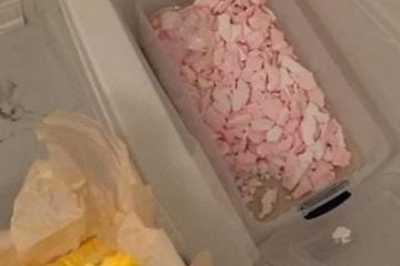 DEFENCE IN CARFENTANIL CASE ATTEMPTS TO DISCREDIT 'SUSPICIOUS' WEB ACTIVITY DEFENCE IN CARFENTANIL CASE ATTEMPTS TO DISCREDIT 'SUSPICIOUS' WEB ACTIVITY